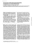 The Expression of Slow Myosin During Mammalian Somitogenesis