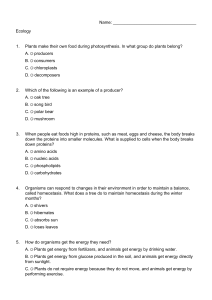 Name: Ecology 1. Plants make their own food