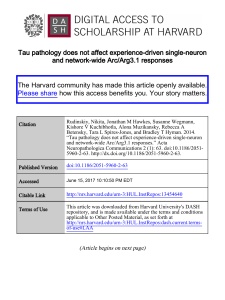 Tau pathology does not affect experience-driven single