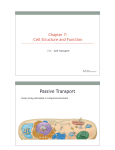 Chapter 7 Section 7_3 Cell Transport