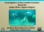 Investigation of the Lionfish Invasion along the Indian River Lagoon