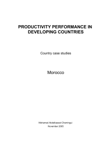 analyzing productivity changes in morocco