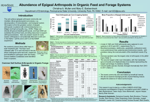 Abundance of Epigeal Arthropods in Organic Feed