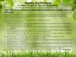 Healthy Gut Protocol