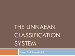 The Linnaeus Classification System