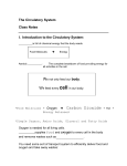 Circulatory_System_Notes_SBOF_July_2005