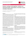 Nuclear envelope laminopathies: evidence for developmentally