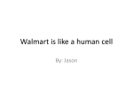 Walmart is like a human cell - MyClass at TheInspiredInstructor.com