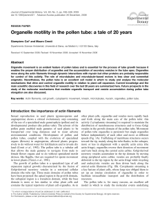 Organelle motility in the pollen tube: a tale of 20 years