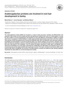 Arabinogalactan proteins are involved in root hair development in