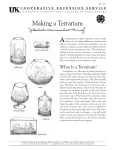 4BE-15PO: Making a Terrarium