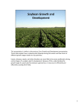 04 Soybean Growth and Development