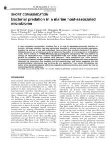 Bacterial predation in a marine host