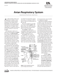 ASC-200: Avian Respiratory System