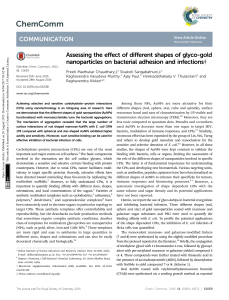 Assessing the effect of different shapes of glyco