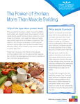 The Power of Protein: More Than Muscle Building