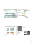 Adaptations to Terrestrial and Aquatic