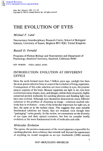 Land (1992) The evolution of eyes - Mark Wexler