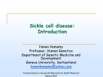 Sickle cell disease: Introduction