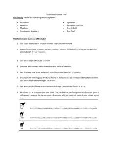 “Evolution Practice Test” Vocabulary: Define the following