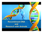 Recombinant DNA and Research with Animals