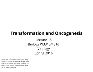 Transformation and Oncogenesis