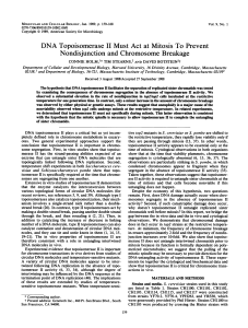 DNA Topoisomerase II Must Act at Mitosis to Prevent Nondisjunction