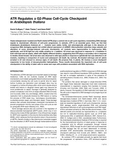 ATR Regulates a G2-Phase Cell-Cycle Checkpoint
