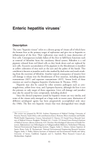 Enteric hepatitis viruses - World Health Organization