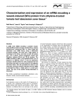 Characterization and expression of an mRNA encoding a wound