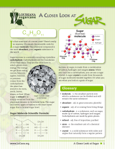 A Closer Look at Sugar