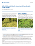 Mile-A-Minute (Mikania micrantha): A New Weed in South