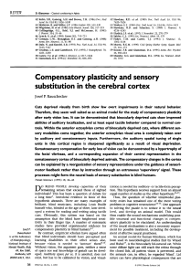 Compensatory plasticity and sensory substitution in the cerebral cortex