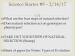 Notes 8.6 – Types of Evolution