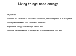 Living things need energy
