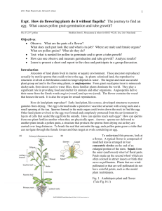 Expt. How do flowering plants do it without flagella? The journey to