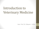 Lecture 1. Intro to Vet Med_6
