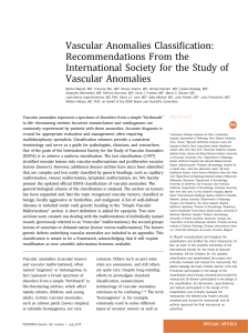 Vascular Anomalies Classification: Recommendations