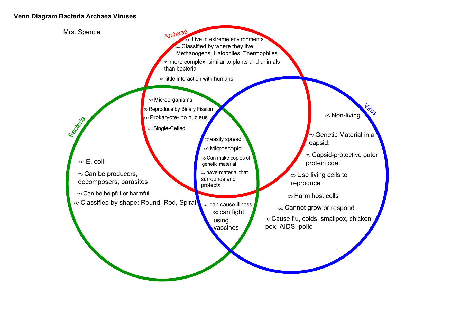 29 Bacteria And Viruses Venn Diagram