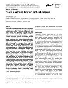 Plastid biogenesis, between light and shadows