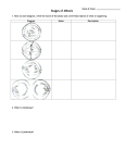 Phases of Cell Division Diagram