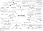 CE...Chapter 3 - Dictatorship in Russia (summary diagram)