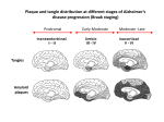 Plaque and tangle distribution at different stages of Alzheimer`s