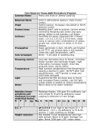 Fact Sheet Pansy - Aggie Horticulture