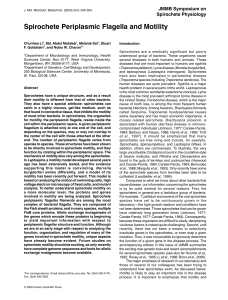 Spirochete Periplasmic Flagella and Motility