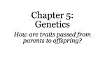 How are traits passed from parents to offspring?