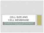 cell membrane - McEachern High School