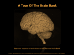 HBTRC Tour - Harvard Brain Tissue Resource Center