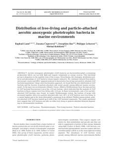Distribution of free-living and particle