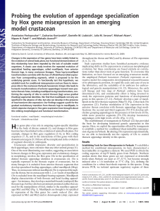 Probing the evolution of appendage specialization by